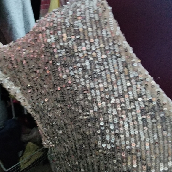 Cece Silver Sequin pant set - Picture 2 of 16